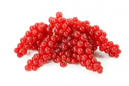 Красная смородина