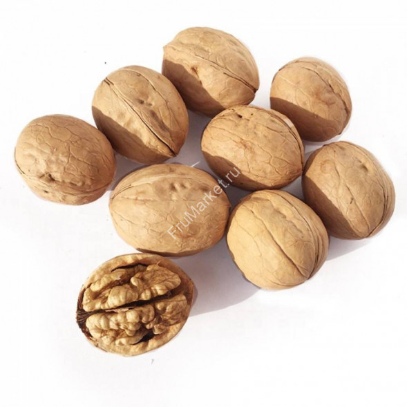 Грецкий орех в скорлупе Китай