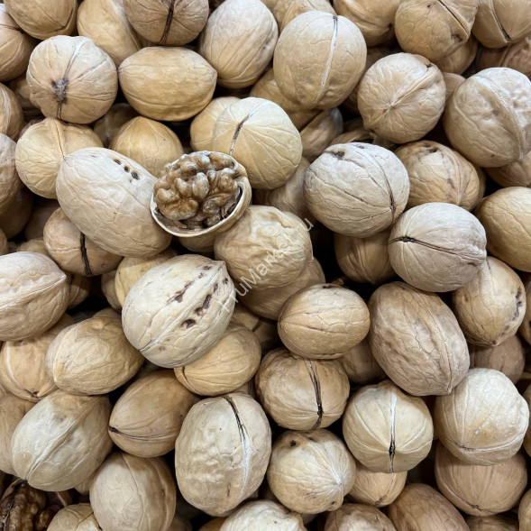 Грецкий орех в скорлупе Китай