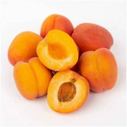 Абрикосы Узбекистан