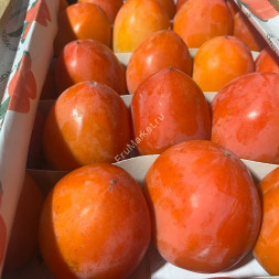 Хурма Свечка Азербайджан