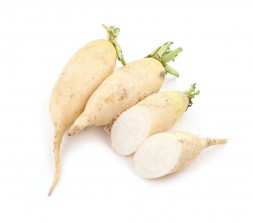 Редька Дайкон белая