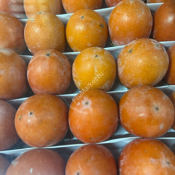 Хурма Свечка мелкая Узбекистан