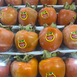 Хурма Свечка Узбекистан