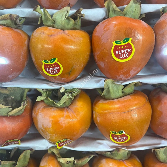 Хурма Свечка Узбекистан