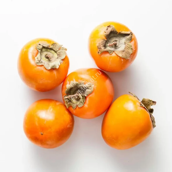 Хурма Свечка Узбекистан