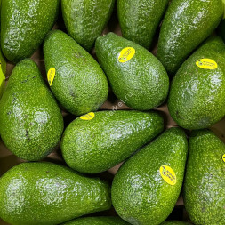 Авокадо Перу