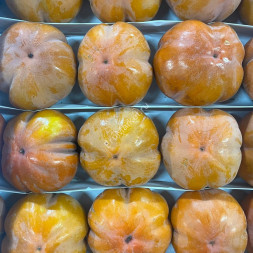 Хурма Ромашка Узбекистан