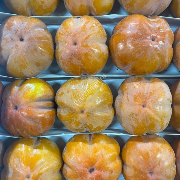 Хурма Ромашка Узбекистан