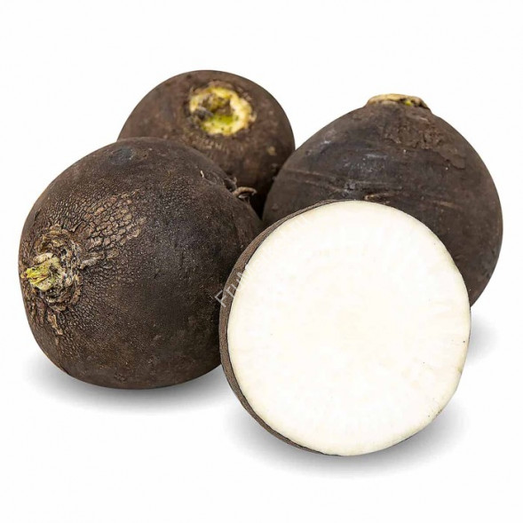 Репа черная