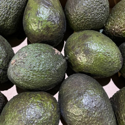 Авокадо Хасс Перу