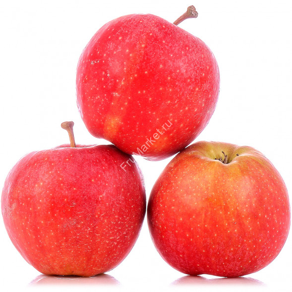 Яблоки Галла Азербайджан