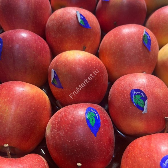 Яблоки Галла Азербайджан