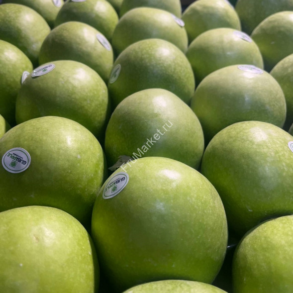 Яблоки Гренни Смит Азербайджан