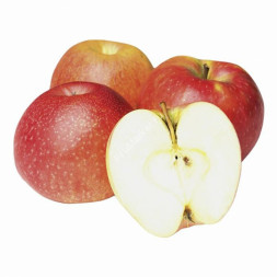 Яблоки Медовый хруст Россия