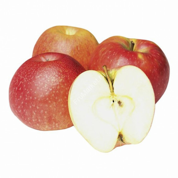 Яблоки Медовый хруст Россия