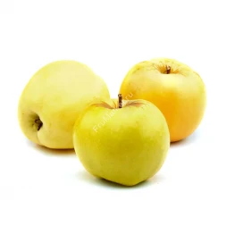 Яблоки Антоновка Россия