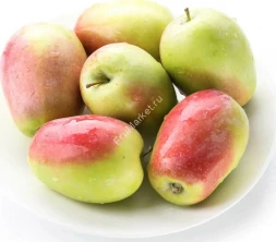 Яблоки Синап Крым