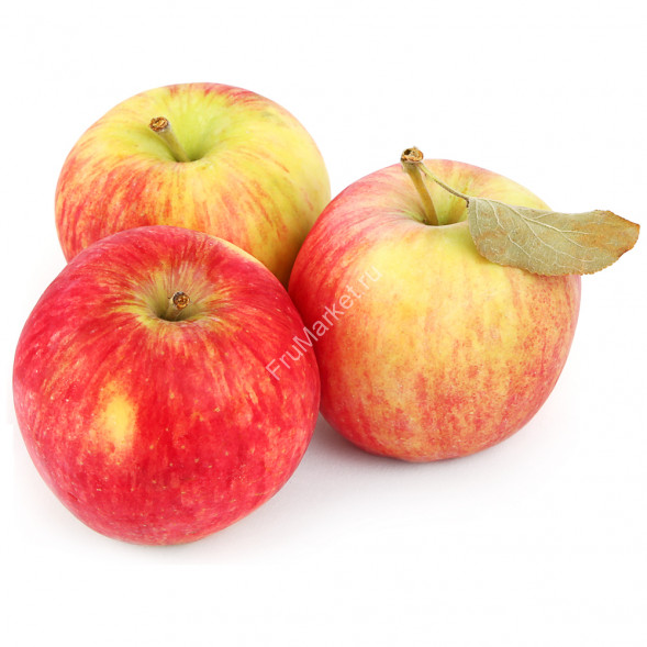 Яблоки Штрифель