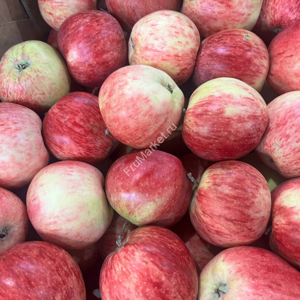 Яблоки Штрифель