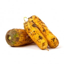 Морковь желтая