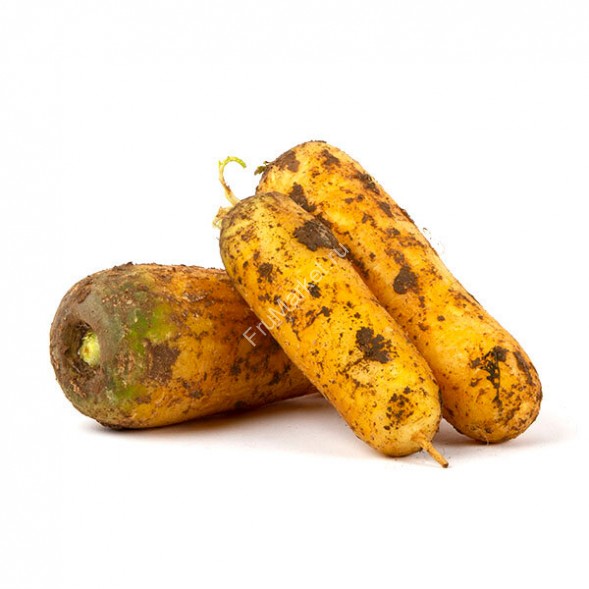 Морковь желтая