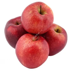 Яблоки Ред Россия
