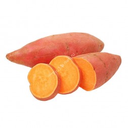Сладкий картофель Батат