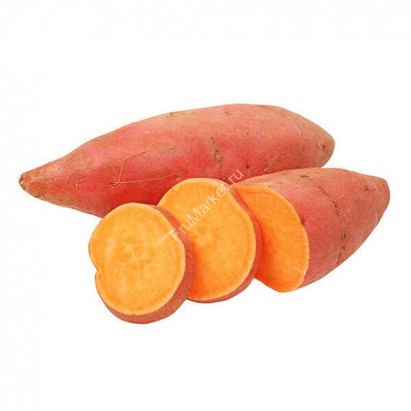 Сладкий картофель Батат
