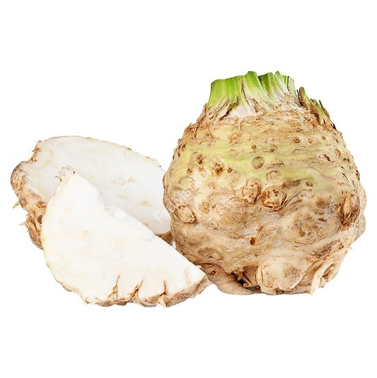 Корень сельдерея