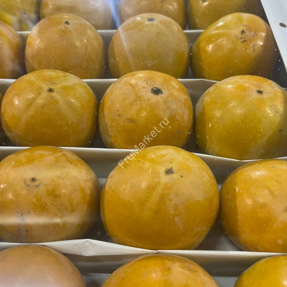 Хурма Королек Узбекистан