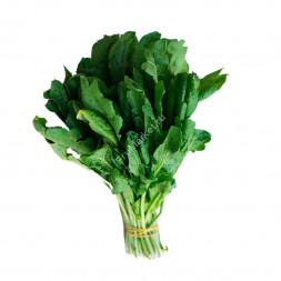 Кресс-салат