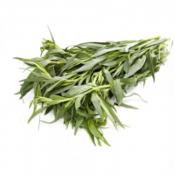 Тархун (Эстрагон) трава