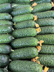 Огурцы Корнишоны