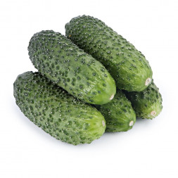 Огурцы Корнишоны