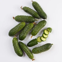 Огурцы Кураж