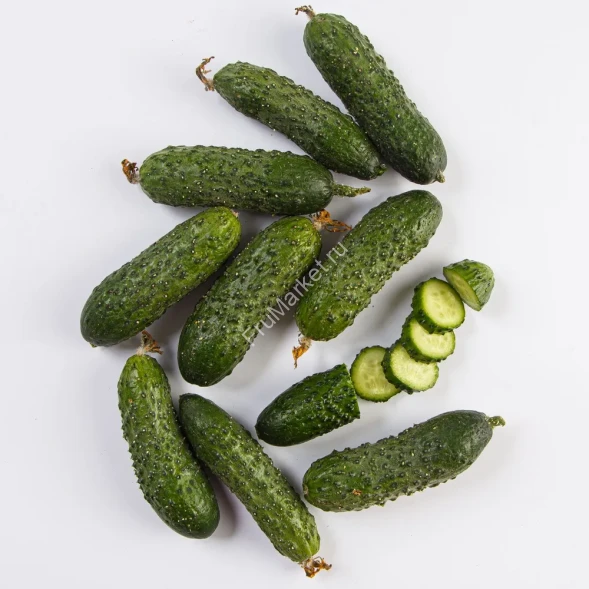 Огурцы Кураж