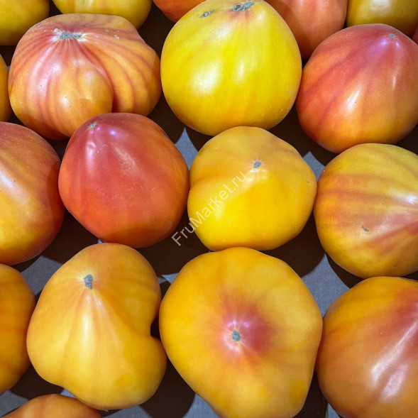 Помидоры Мадрид Беларусь