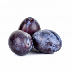 Слива Темная