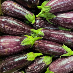 Баклажаны Зебра