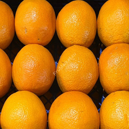 Апельсины Египет