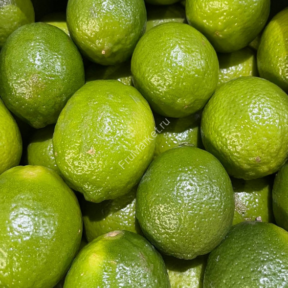 Лайм Бразилия