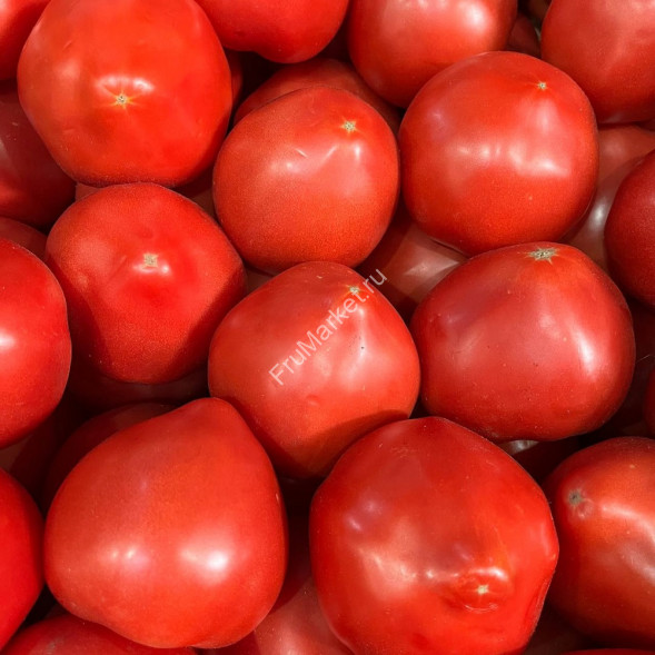 Помидоры Мохитос Россия