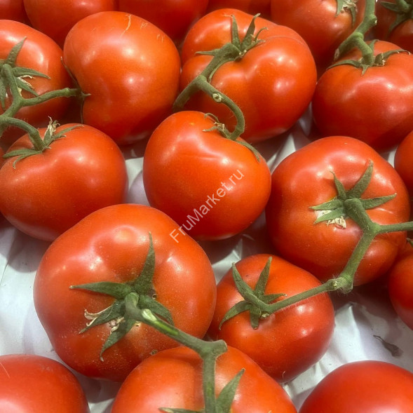 Помидоры Мохито на ветке Россия