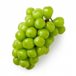 Крупный зеленый виноград Шайн Мускат без косточек