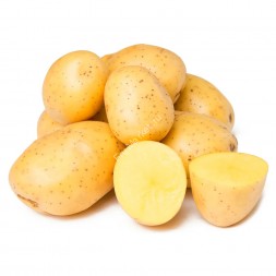 Картофель белый Россия