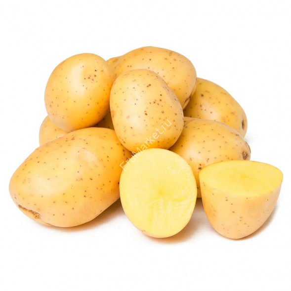 Картофель белый Россия