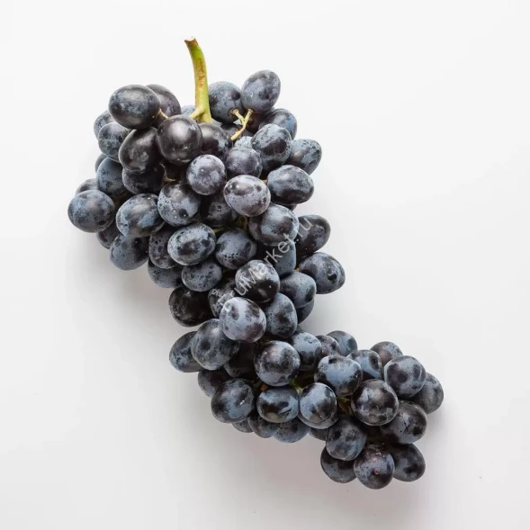 Черный виноград Мерседес Премиум Узбекистан