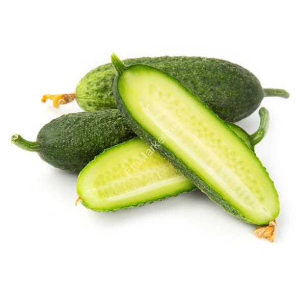 Огурцы Луховицкие свежие