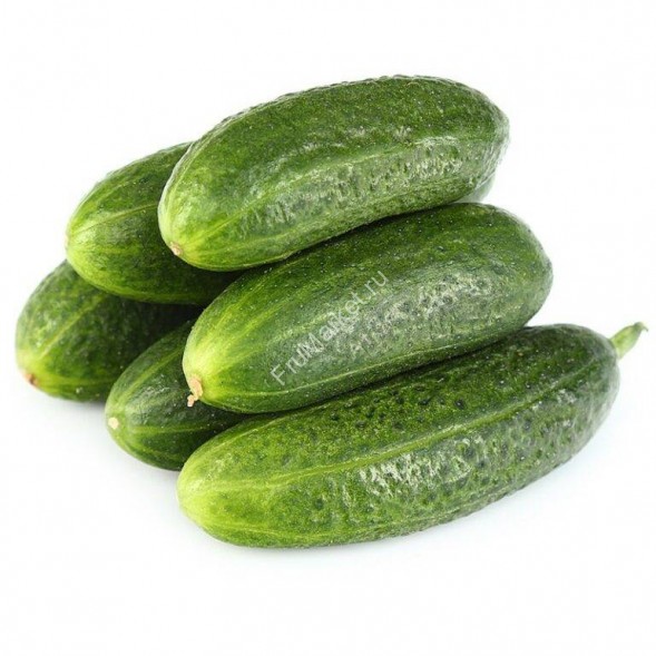 Огурцы Луховицкие свежие